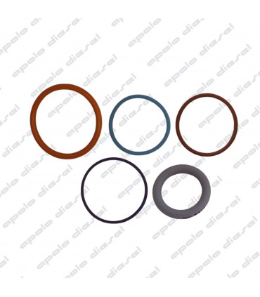 Reparo Unidad EUI Caterpillar C10/C12