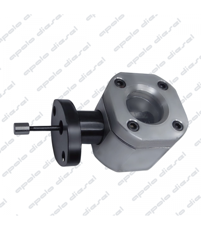 Escala para medir Avance de la Bomba VE