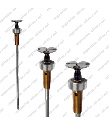 Conjunto Válvula Bastón Common Rail