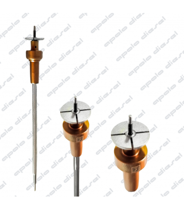 Conjunto Valvula Baston Common Rail