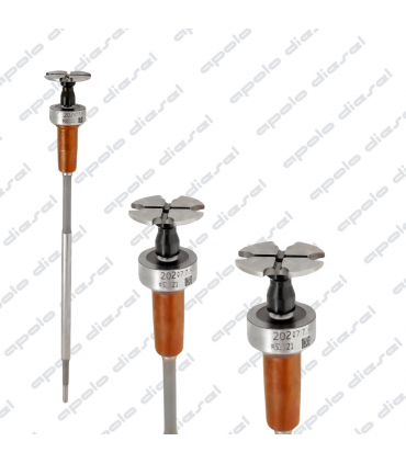 Conjunto Válvula Bastón Common Rail