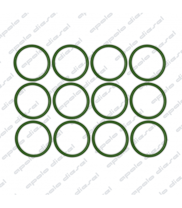 Anillo del Porta Inyector SCANIA 124