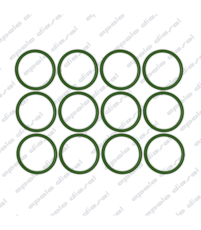 Anillo del Porta Inyector SCANIA 124