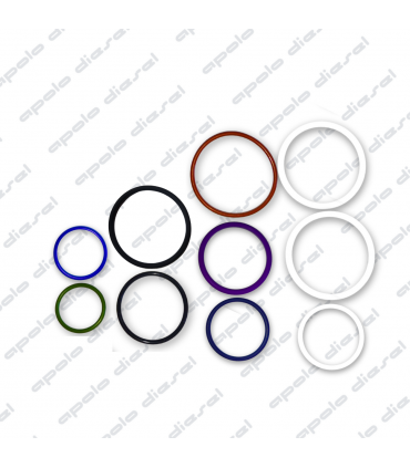 Reparo Completo Unidad Inyectora SCANIA 124