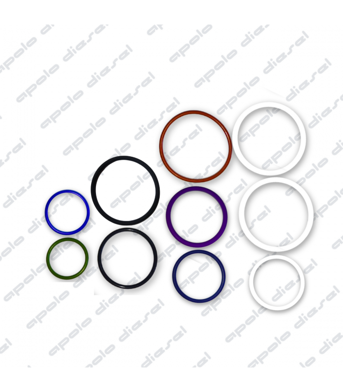 Reparo Completo Unidad Inyectora SCANIA 124