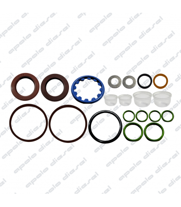 Reparo Bomba Alta Presion CP4 Amarok