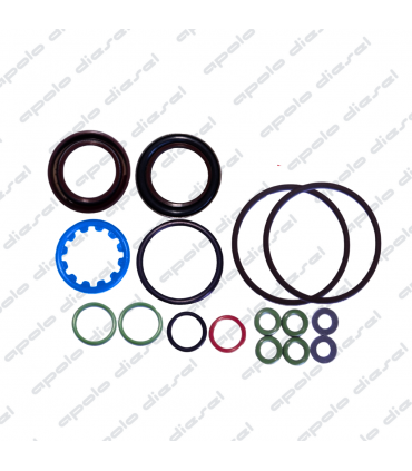 Kit Reparo Bomba de Alta Presión CP4