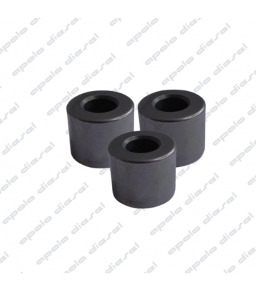 Pistón Bomba Alimentadora Bosch