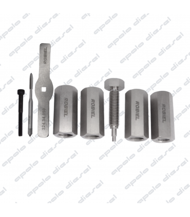 Kit de Herramientas Filtro Inyector Denso