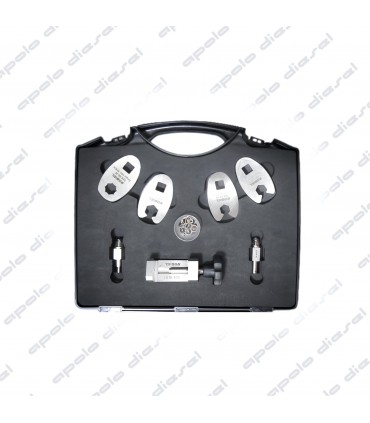 Kit de Reparacion de Inyectores CRIN 2/3