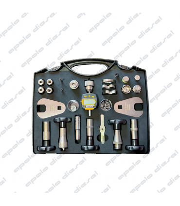 Kit de Reparación Denso/Siemens/Continental