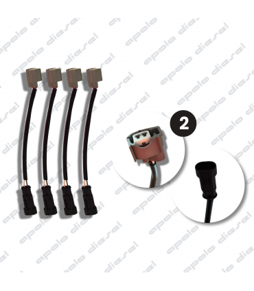 Conector de Inyector Denso 2