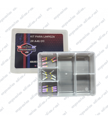 AGUJAS PARA LIMPIEZA DE PICOS - 2R