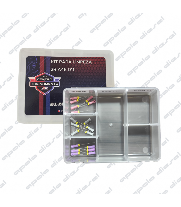 AGUJAS PARA LIMPIEZA DE PICOS - 2R