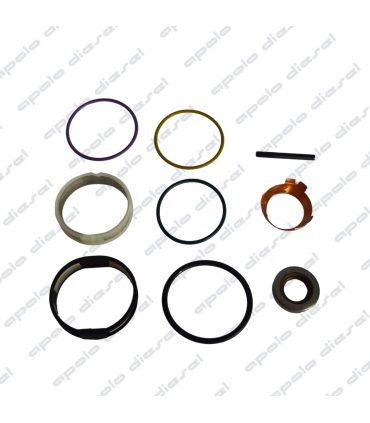 REPARO COMPLETO UNIDAD  CUMMINS ISX SCANIA 470 HPI