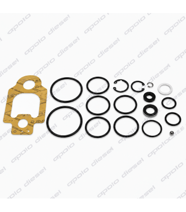 REP. BOMBA DELPHI DP200 (7135-277B)
