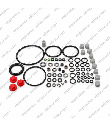 REPARO BOMBA DELPHI DP200 (7135-277A)