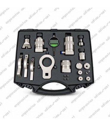 KIT DE BOMBEO E INYECCION DAF / PAACAR EURO V / EURO VI