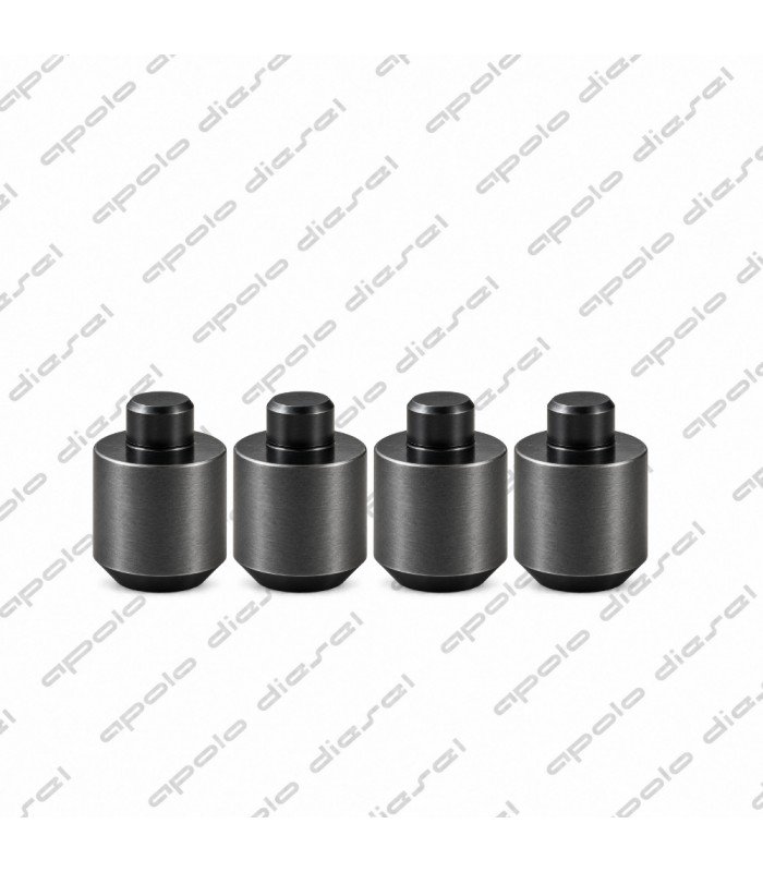 TOP DEL INYECTOR MWM 8,46MM
