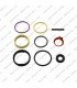 REPARO COMPLETO UNIDAD CUMMINS ISX SCANIA 470 HPI