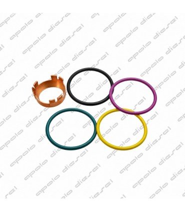 REPARO UNIDAD CUMMINS ISX ANILLOS Y ARANDELA